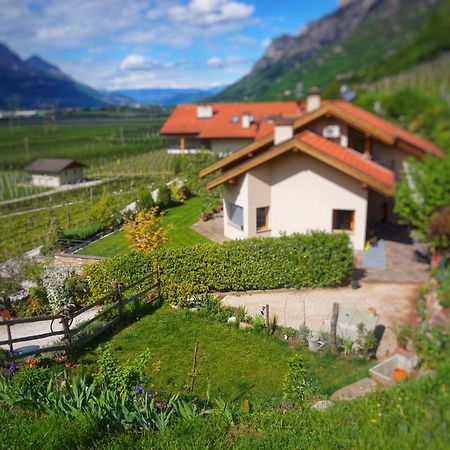 Apartament Agritur Zuveith Salorno Zewnętrze zdjęcie
