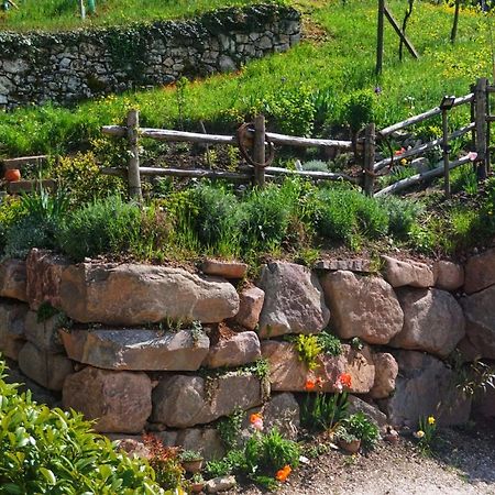 Apartament Agritur Zuveith Salorno Zewnętrze zdjęcie
